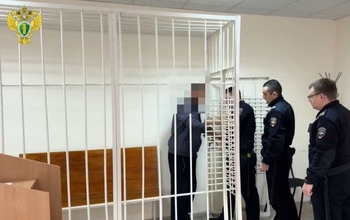 В Саракташе арестован подозреваемый в убийстве женщины, тело которой нашли на мусорном полигоне (18+)