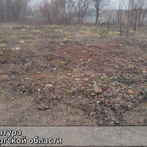 2 участка муниципальной земли в Оренбуржье были проданы в частную собственность