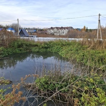Администрация Бузулукского района находится на контроле у прокуратуры из-за нарушений требований природоохранного законодательства