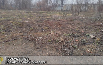 2 участка муниципальной земли в Оренбуржье были проданы в частную собственность