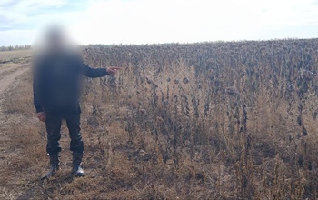 В Октябрьском районе задержали мужчину с незаконно добытой тушей оленя