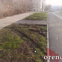 Поступления от штрафов за парковку на газонах в Оренбурге подскочили за год более чем в 20 раз