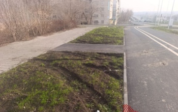 Поступления от штрафов за парковку на газонах в Оренбурге подскочили за год более чем в 20 раз