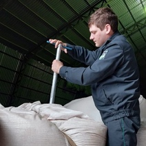 В Оренбуржье выявили недостоверное декларирование более 333 тысяч тонн зерна