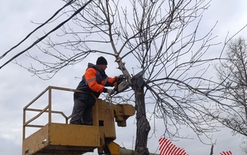 В Оренбурге после того, как девушка лишилась ноги из-за упавшего дерева, приступили к опиловке