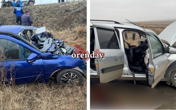 В Оренбуржье в ДТП между автомобилями марки Лада погибли 4 человека, 5 пострадали