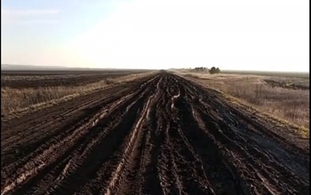Безобразной дорогой между Кандауровкой и Егорьевкой Курманаевского района заинтересовался Александр Бастрыкин