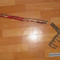 В Оренбуржье один из трех собутыльников избил женщину черенком от граблей