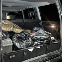 В Александровском районе браконьеры вместо разрешенной одной косули убили трех