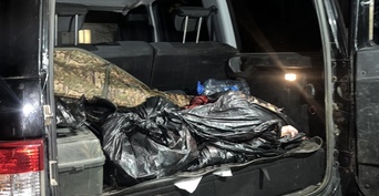 В Александровском районе браконьеры вместо разрешенной одной косули убили трех