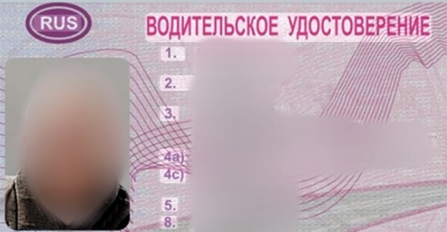 В Орске полицейские обнаружили у водителя филькину грамоту вместо прав