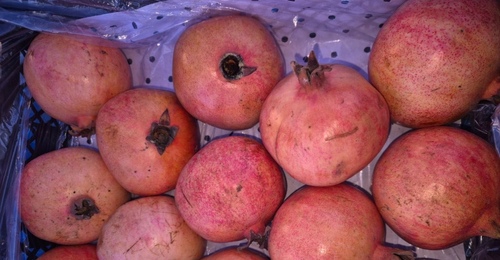 На оренбургские прилавки не пустили почти 39 тонн зараженных гранатов из Узбекистана