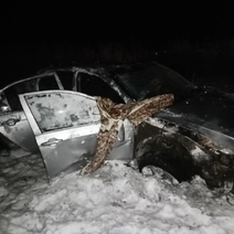 В Северном районе водитель автомобиля Lifan заснул за рулем и вырулил в кювет