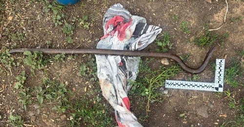 В Саракташском районе женщина, жестоко убившая мать гвоздодером, выслушала приговор (18+)