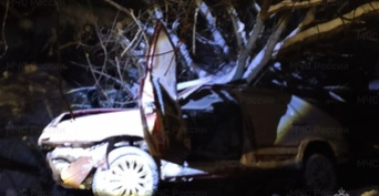 В Новосергиевском районе «ВАЗ» врезался в ограду моста, погибла женщина-пассажир (18+)