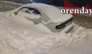 В Оренбурге вдоль дорог и во дворах из брошенных авто можно организовывать выставку «белых скульптур»