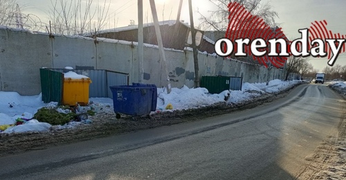 Ёлку выкидываем правильно: куда в Оренбурге можно отнести деревце после праздника