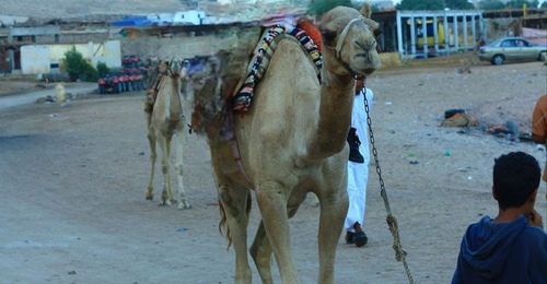 В Оренбурге пенсионер плюнул в детскую коляску