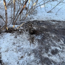 В Переволоцком районе перед судом предстанут нефтяные пираты, укравшие «черное золото» на 1,3 млн рублей