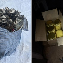 Через Оренбуржье пытались незаконно провезти масло и овечьи шкуры