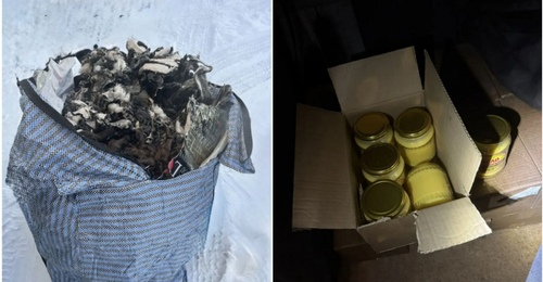 Через Оренбуржье пытались незаконно провезти масло и овечьи шкуры