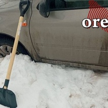 В Оренбурге мужчина огрел пенсионерку лопатой из-за собачки ребенка