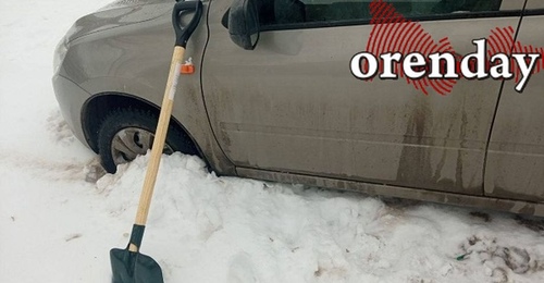 В Оренбурге мужчина огрел пенсионерку лопатой из-за собачки ребенка