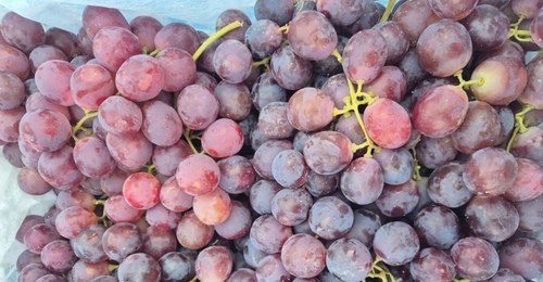 Непрошеный груз: в Оренбуржье не пустили 200 тонн зараженных овощей и фруктов 