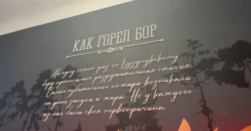 Музей лесных пожаров появится в Бузулукском бору