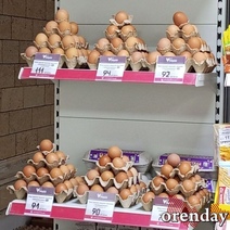 В Оренбуржье куры стали нести «золотые» яйца? 