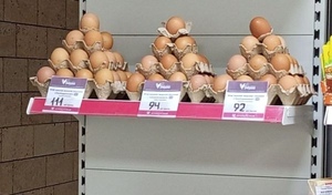 В Оренбуржье куры стали нести «золотые» яйца? 