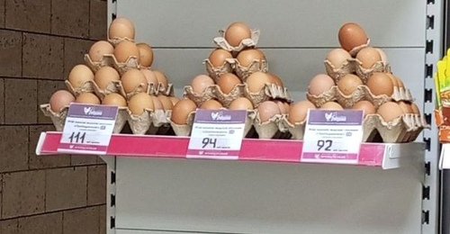 В Оренбуржье куры стали нести «золотые» яйца? 