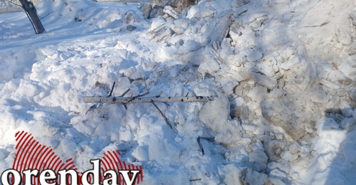 Снег убрали — деревья сломали: в Оренбурге расчищают дворики, повреждая насаждения