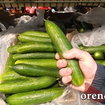 ФАС озаботилась стоимостью огурцов