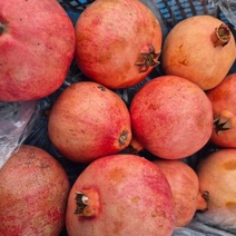 Оренбуржцам не позволили съесть червеца