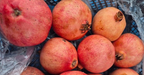 Оренбуржцам не позволили съесть червеца