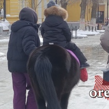 Сотрудники детского областного театра кукол уже устали бороться с зазывалами с пони