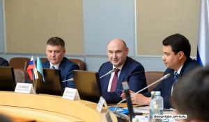 В Оренбуржье работают заместитель министра природных ресурсов и экологии РФ Дмитрий Тетенькин и вице-министр экологии и природных ресурсов Республики Казахстан Мансур Ошурбаев
