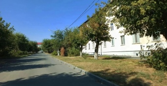 В Орске продолжают выкос сорных трав: работа идёт по всему городу