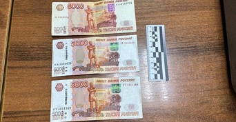 В Орске бесправный водитель, перевозивший ребенка без удерживающего устройства, пытался откупиться от полицейского