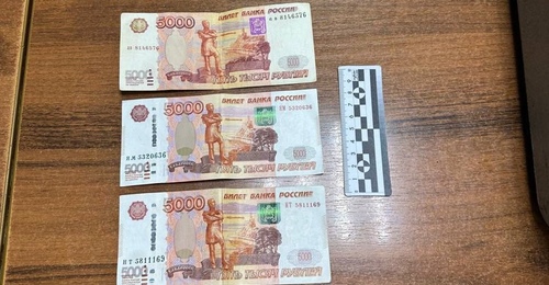 В Орске бесправный водитель, перевозивший ребенка без удерживающего устройства, пытался откупиться от полицейского