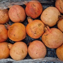 В 15 тоннах гранатов, прибывших из Узбекистана, прятались «нелегалы»