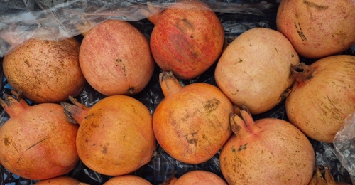 В 15 тоннах гранатов, прибывших из Узбекистана, прятались «нелегалы»