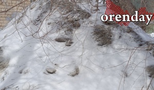 «Решаем вместе» по-оренбургски: снежную гору «изучили» на всех уровнях, но не убрали