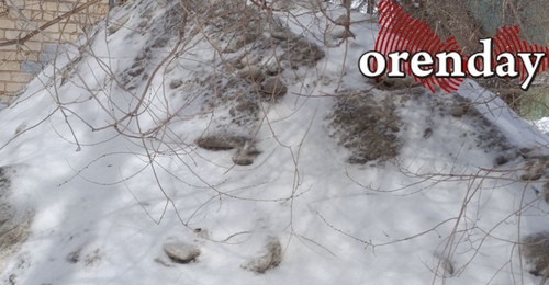 «Решаем вместе» по-оренбургски: снежную гору «изучили» на всех уровнях, но не убрали