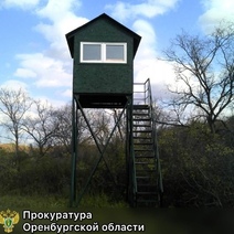 Земли лесного фонда площадью 2,8 тысяч квадратных метров Тоцкого района были отданы в частную собственность