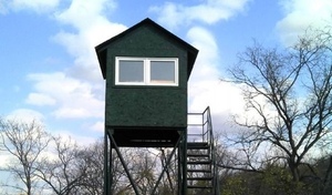 Земли лесного фонда площадью 2,8 тысяч квадратных метров Тоцкого района были отданы в частную собственность