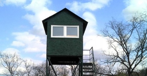 Земли лесного фонда площадью 2,8 тысяч квадратных метров Тоцкого района были отданы в частную собственность