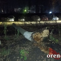 В Оренбурге девушка, лишившаяся ноги после падения на нее дерева, требует от УК 12 млн рублей