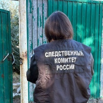 В Сорочинске перед судом предстанет банда юных разбойников